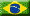 Portugus Brasileiro